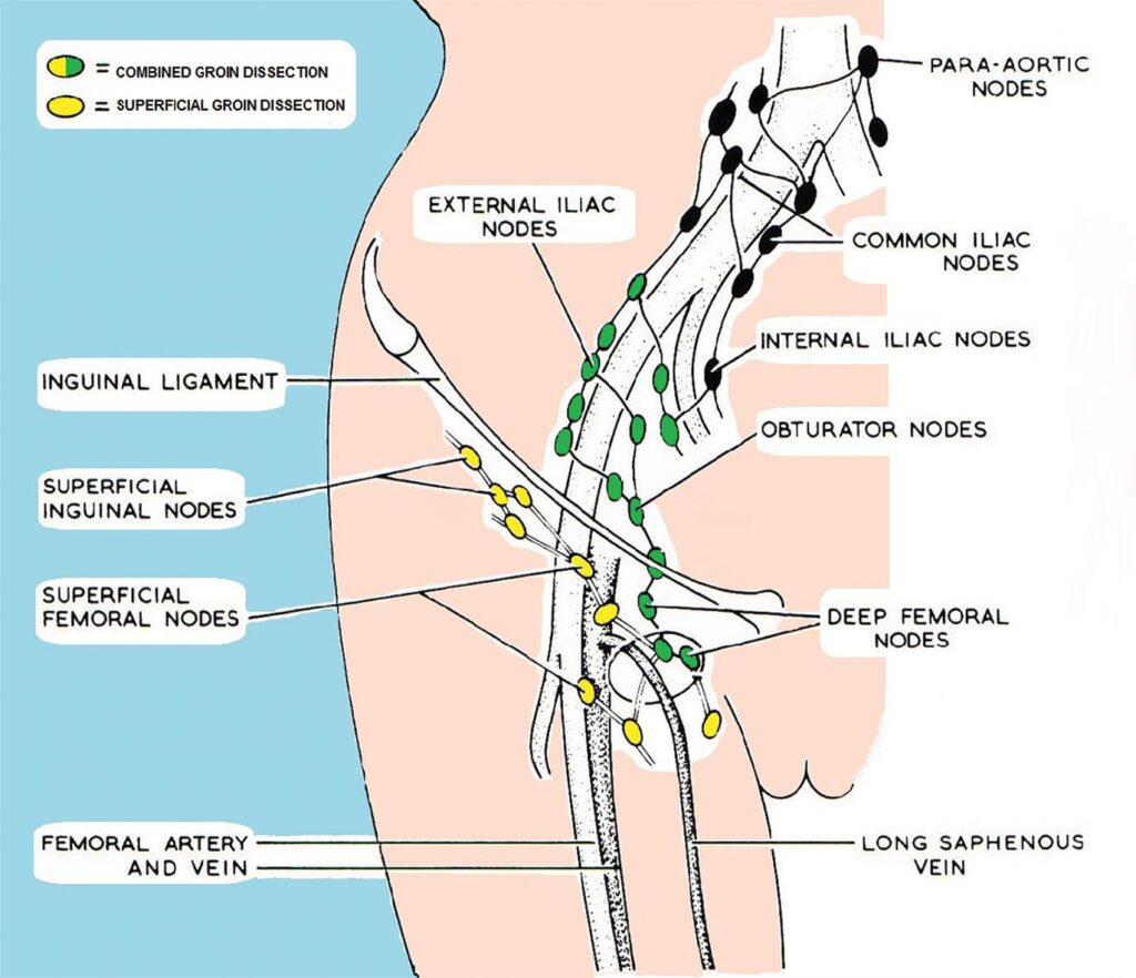 the-one-ovulation-sign-you-ve-never-heard-of