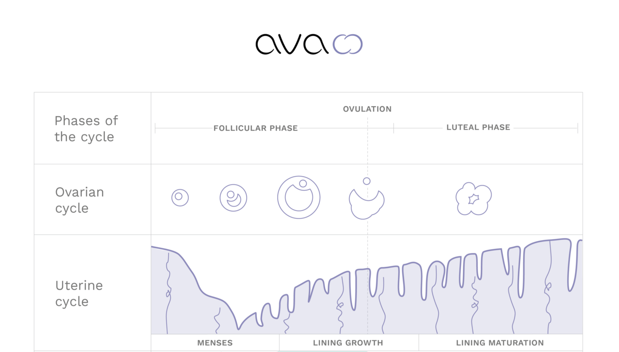 The Top 8 Reasons Why You Need a Period Tracker