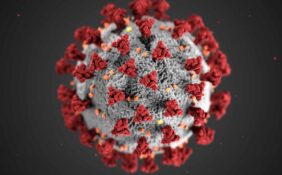 coronavirus